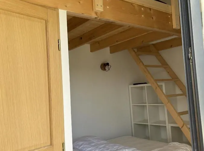 Petit Avec Terrasse *